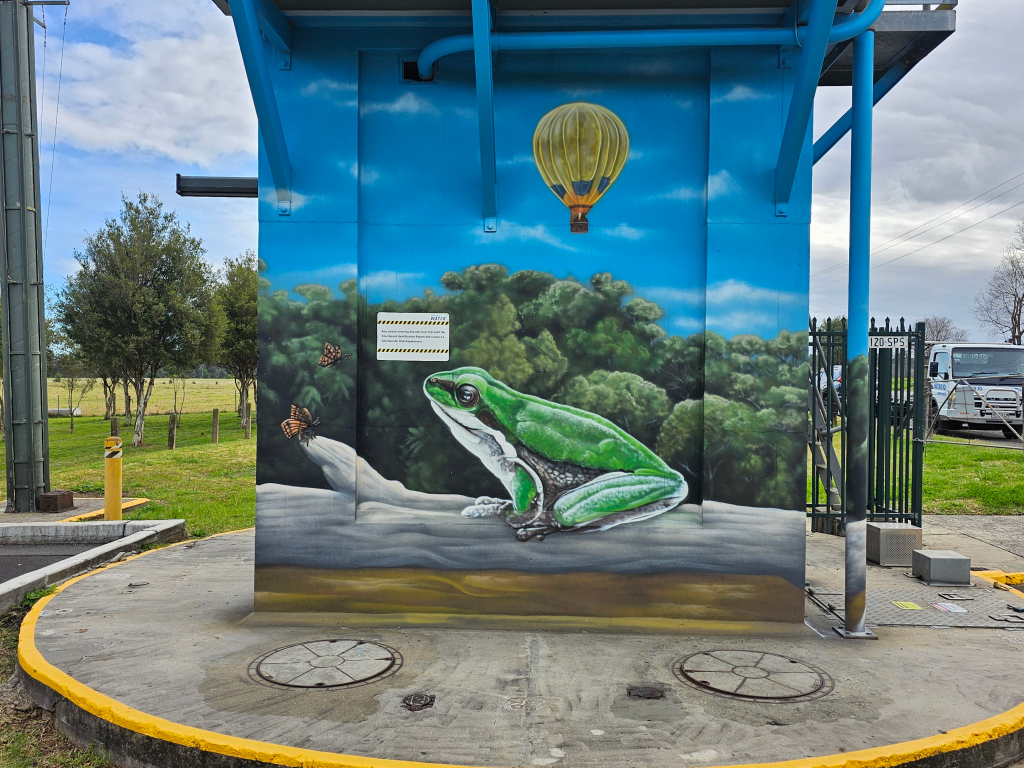 Managing Graffiti: Why Councils Commission Murals Instead 11 dwarf tree frog detail on pump station mural
