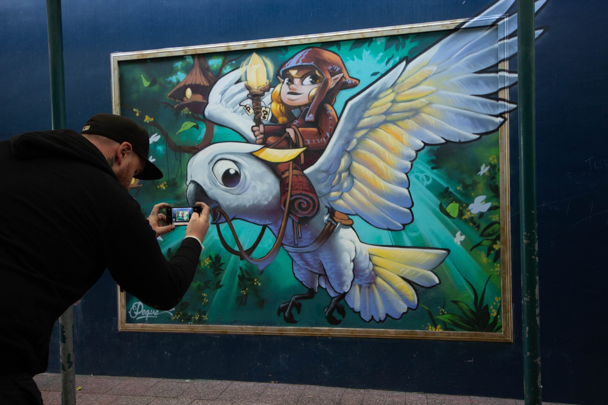 framed street art murals in Bankstown