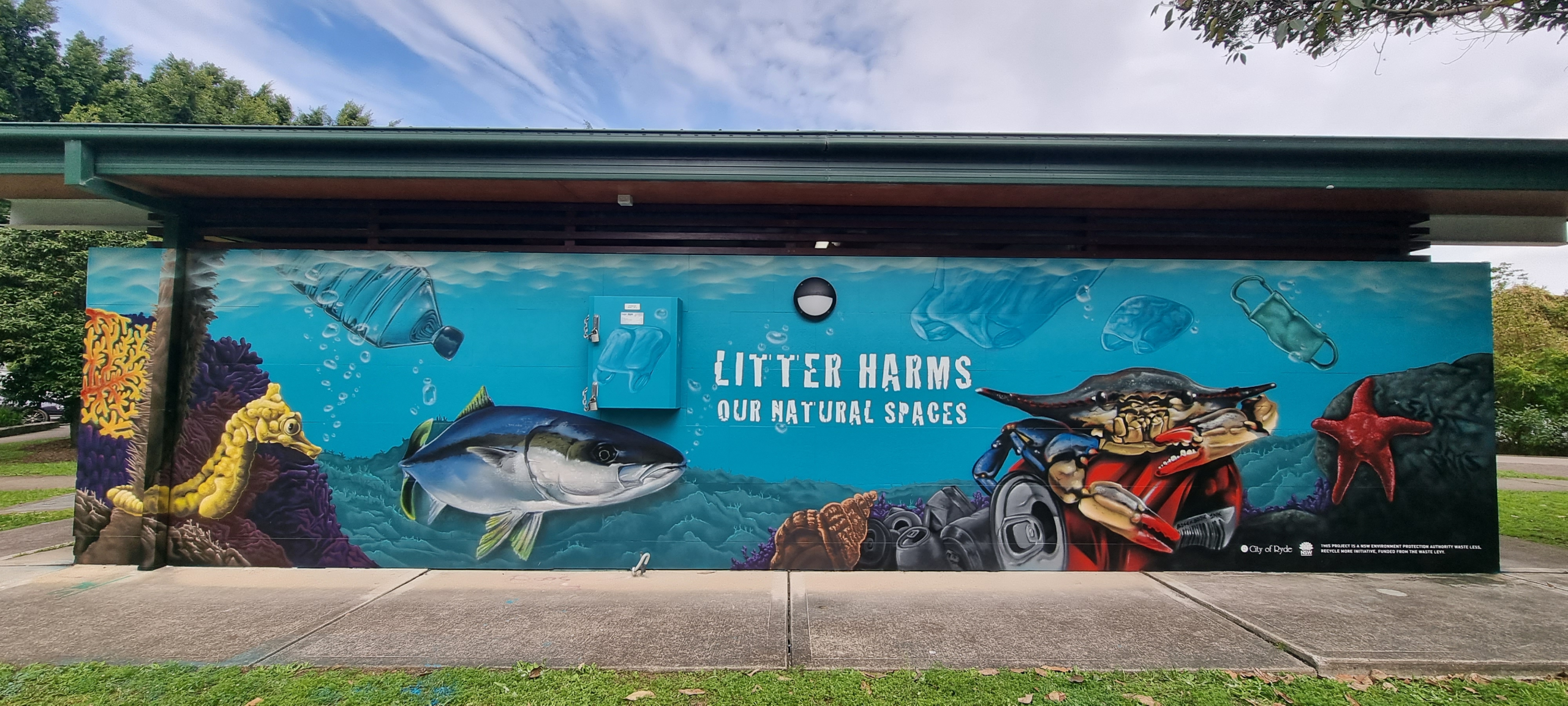 Muralist for hire project painted in Meadowbank for City of Ryde Council