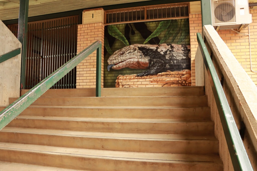 Blue Tongue lizard Stairwell mural painted at Madang Ave Public School