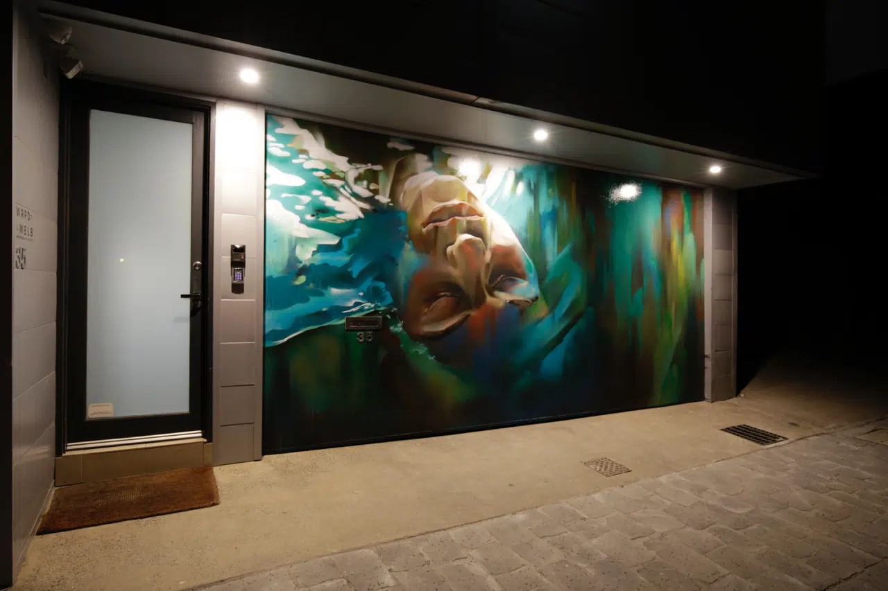 Graffiti artists Melbourne - Mural painted on garage door in Prahan