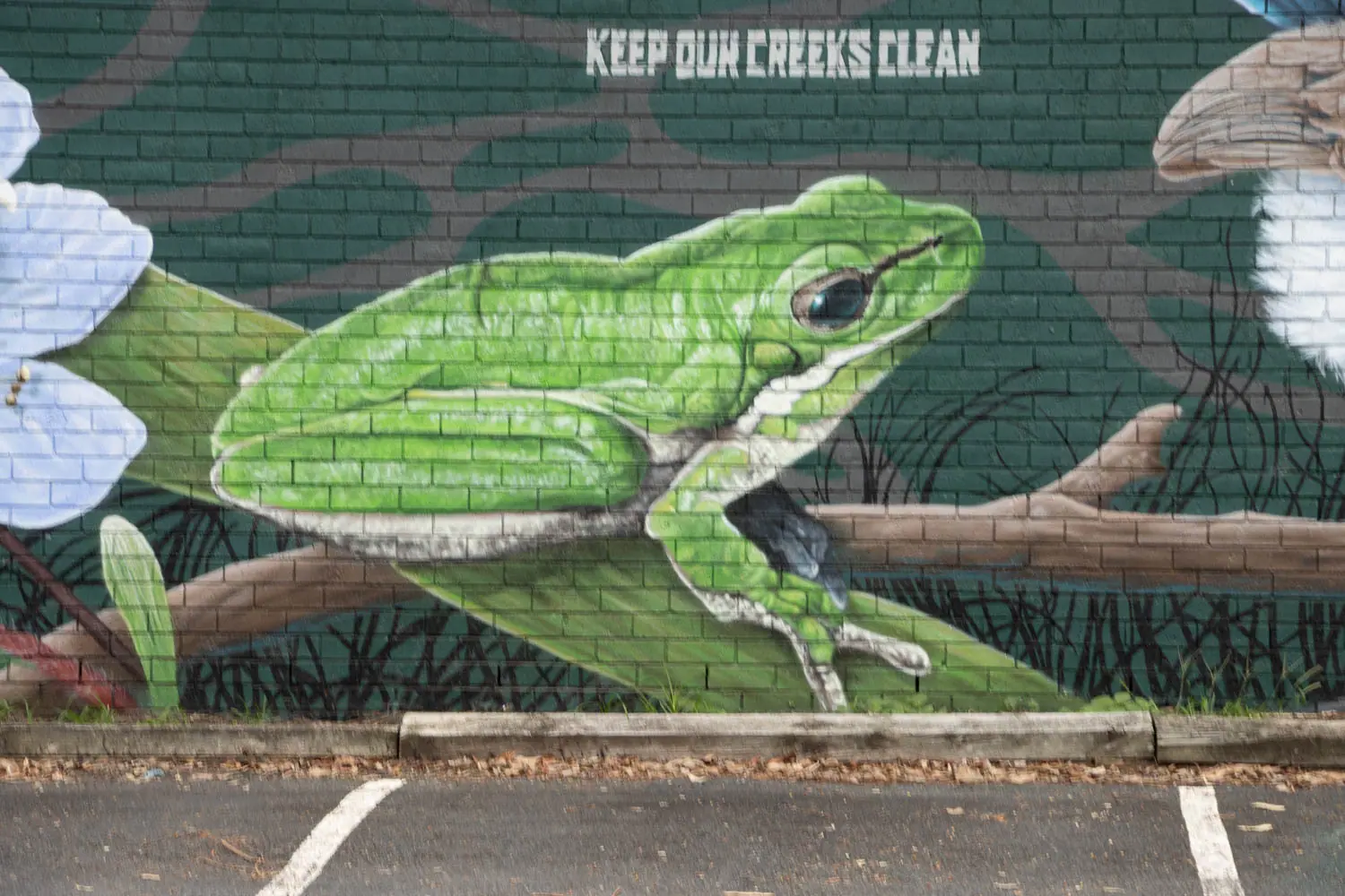 Eastern dwarf tree frog painted at Roseville Chase Mural