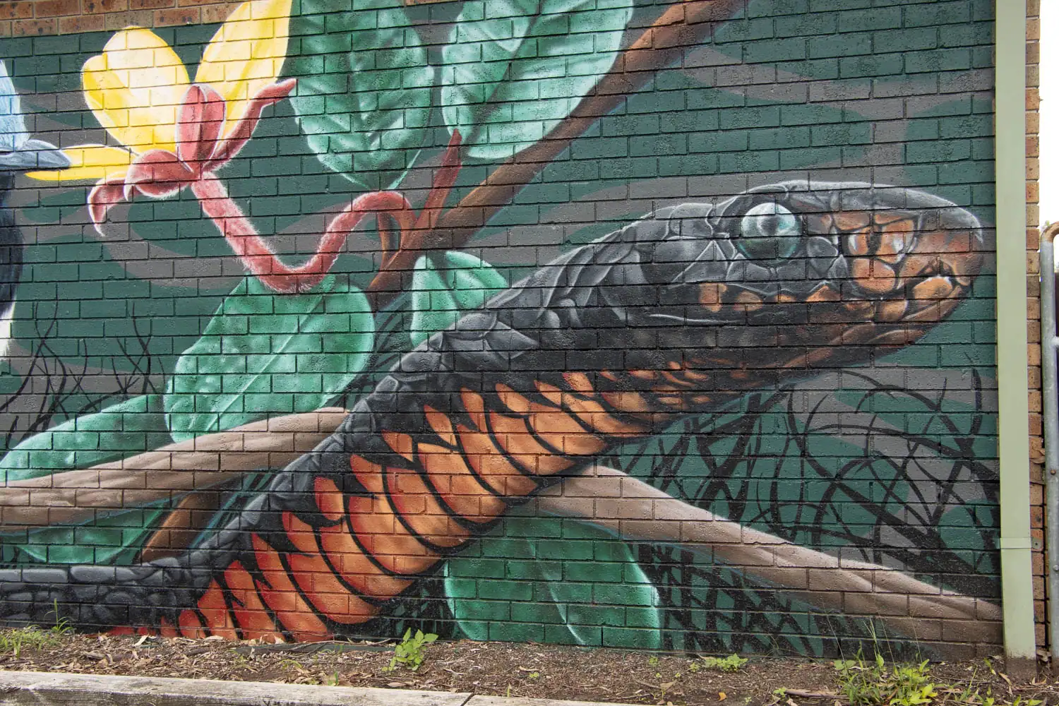 red belly snake painted at the Roseville Chase Mural